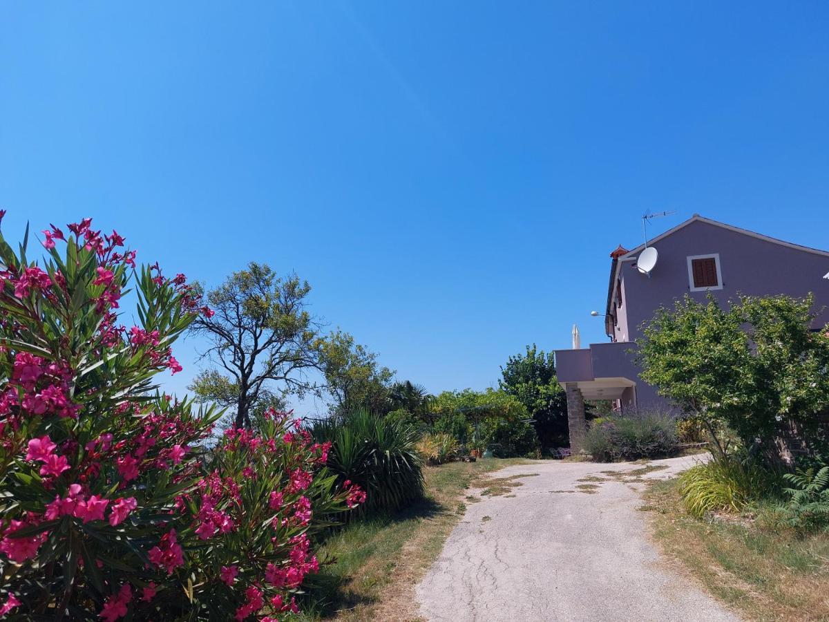 Apartment Bellavista Grožnjan Dış mekan fotoğraf